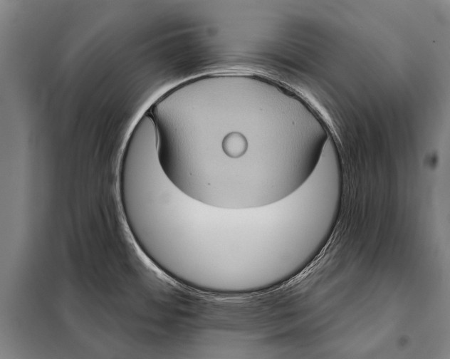 X0000097911484200804041449