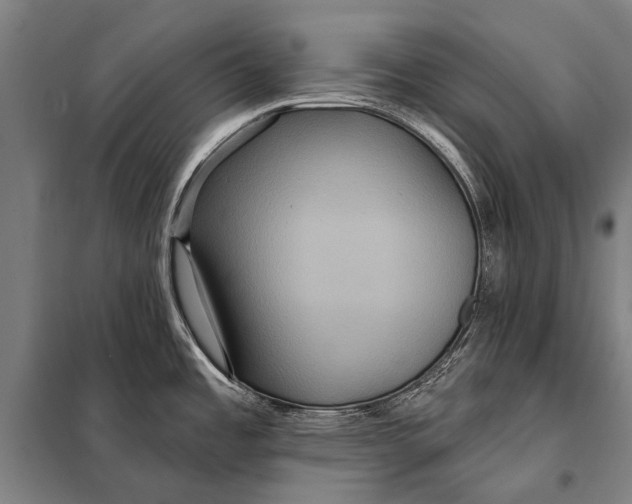 X0000097911485200804041449