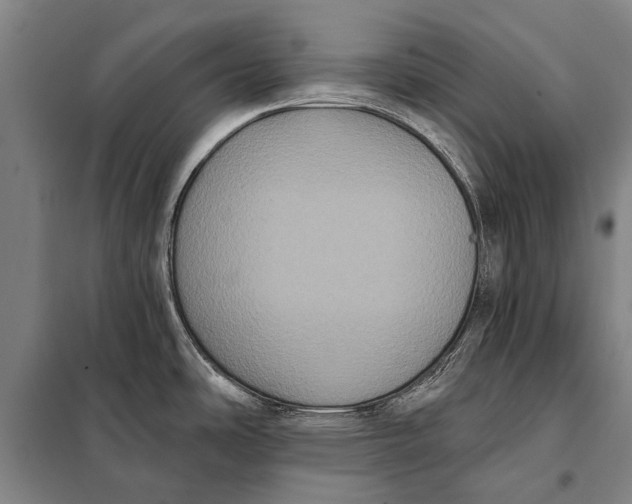 X0000097911486200804041449