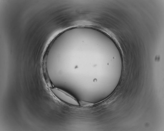 X0000097911488200804041449