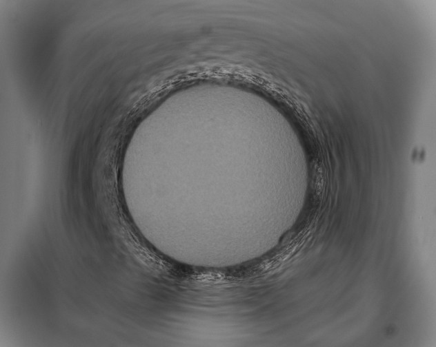 X0000097911489200804041448