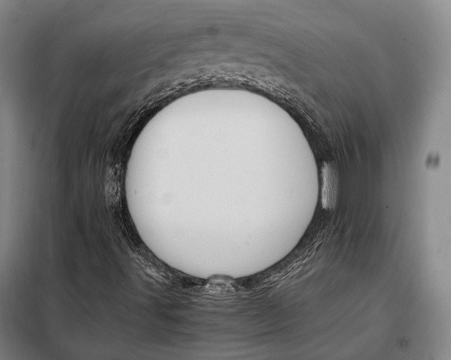 X0000097911491200804041448