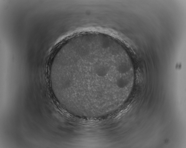 X0000097911494200804041448