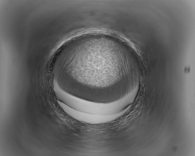 X0000097911496200804041448