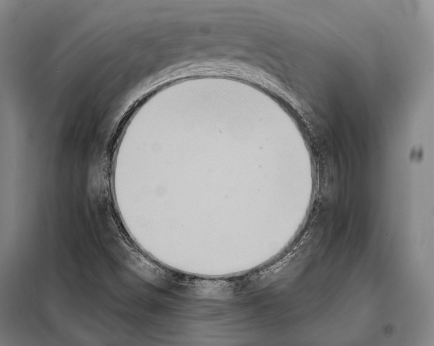 X0000097911498200804041449