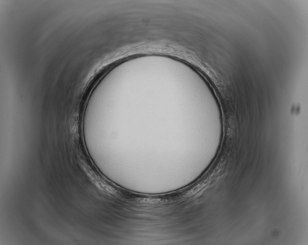 X0000097911499200804041449