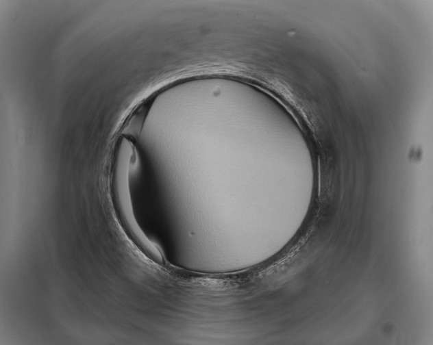 X0000097911500200804041449