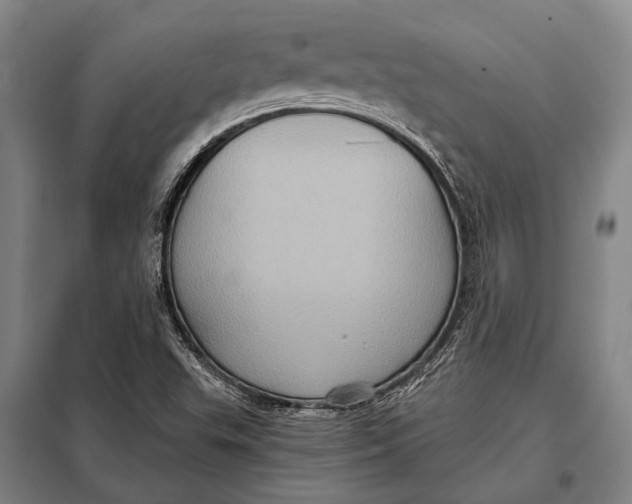 X0000097911503200804041449