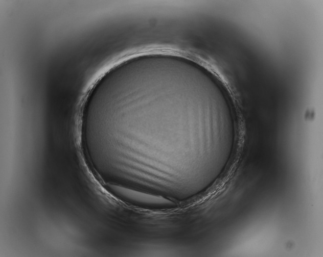 X0000097911504200804041449