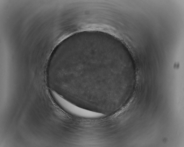 X0000097911505200804041449