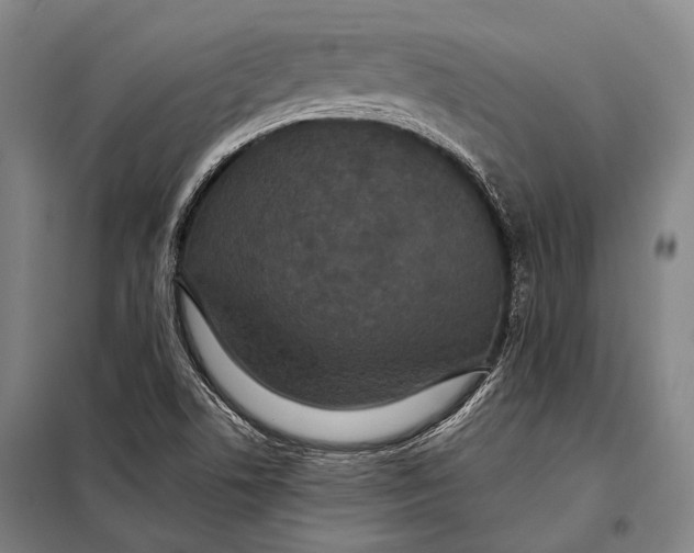 X0000097911506200804041449