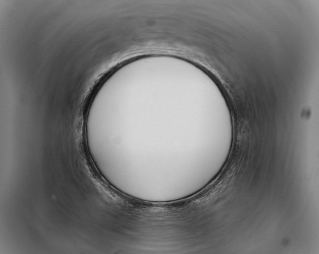 X0000097911507200804041449