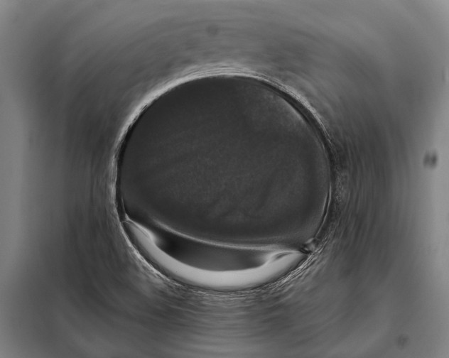 X0000097911508200804041449