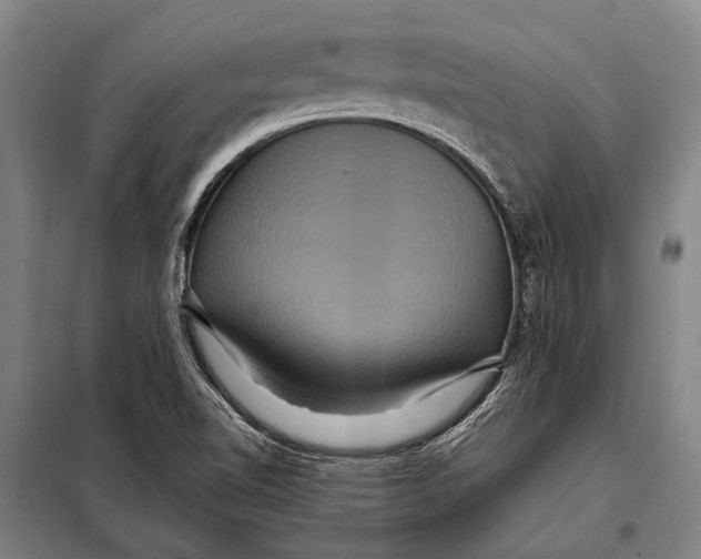 X0000097911510200804041449