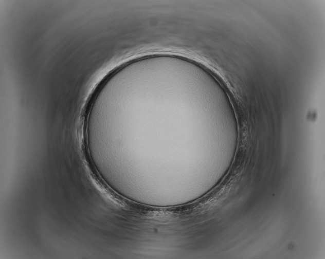 X0000097911511200804041449