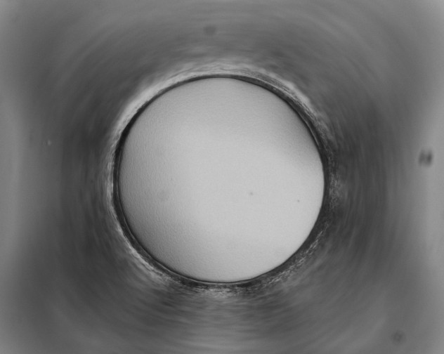 X0000097911512200804041449