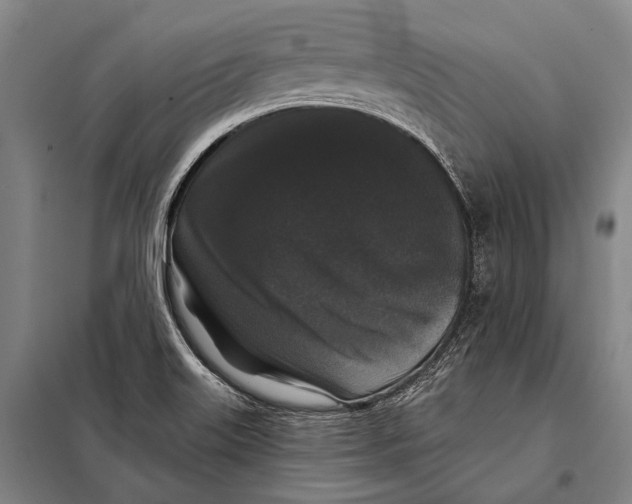 X0000097911515200804041449