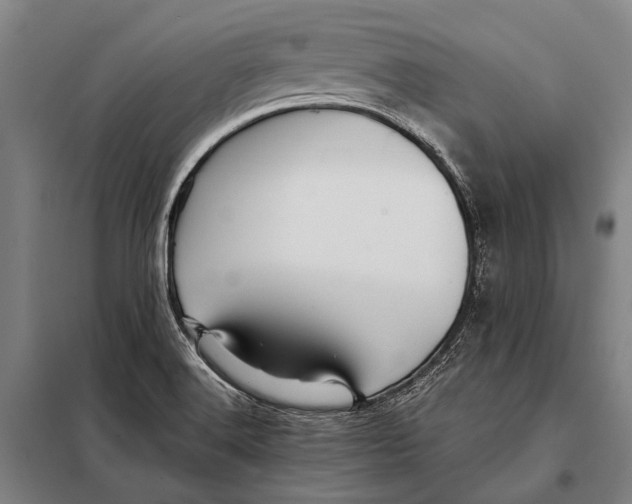 X0000097911516200804041449