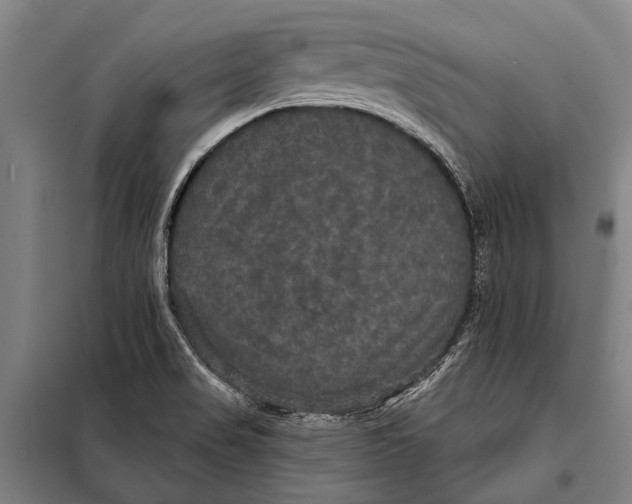 X0000097911517200804041449