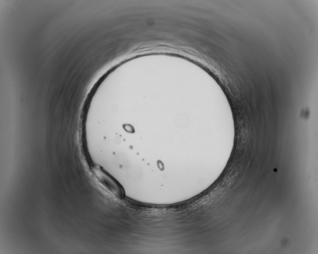 X0000097911518200804041449