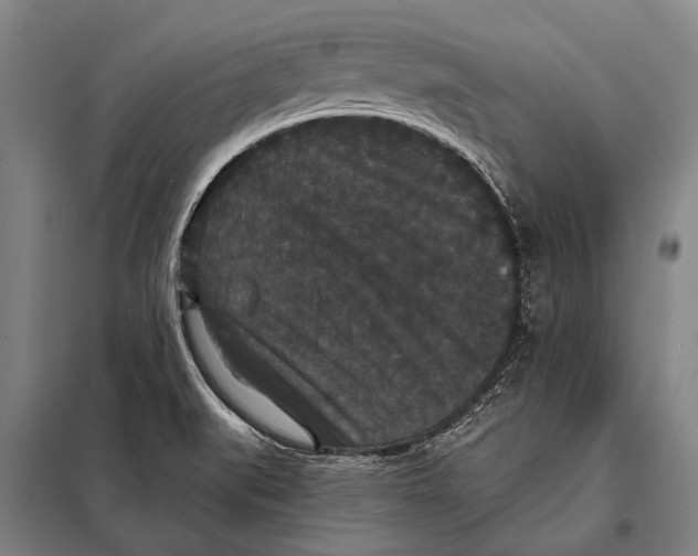 X0000097911519200804041449