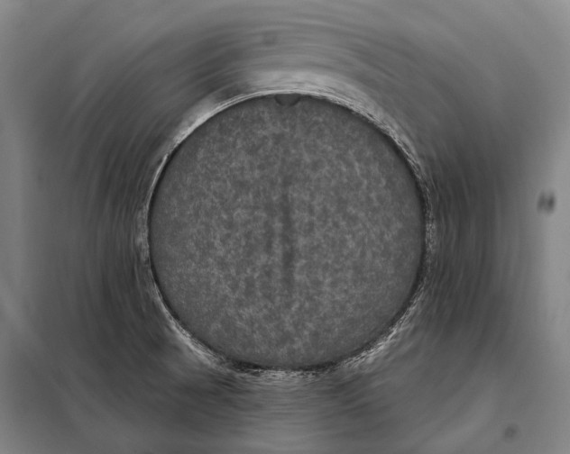 X0000097911521200804041449