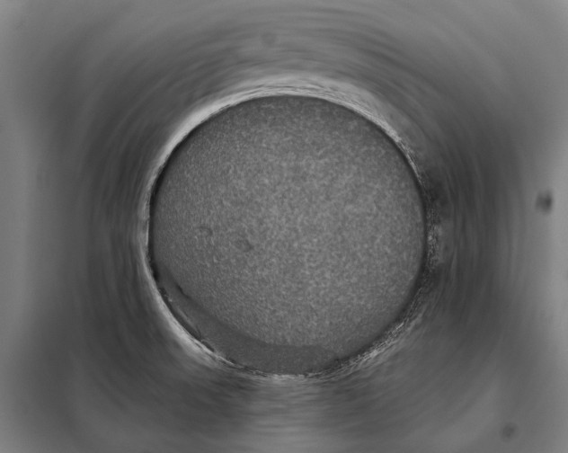 X0000097911523200804041449