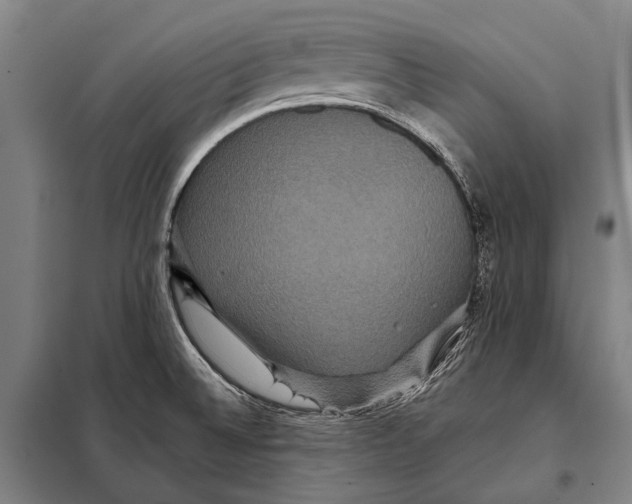 X0000097911524200804041449