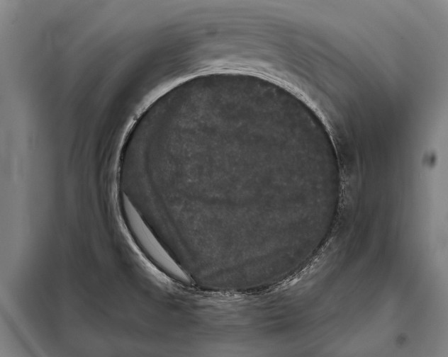 X0000097911525200804041449