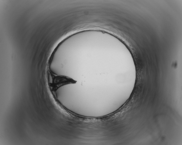 X0000097911526200804041449