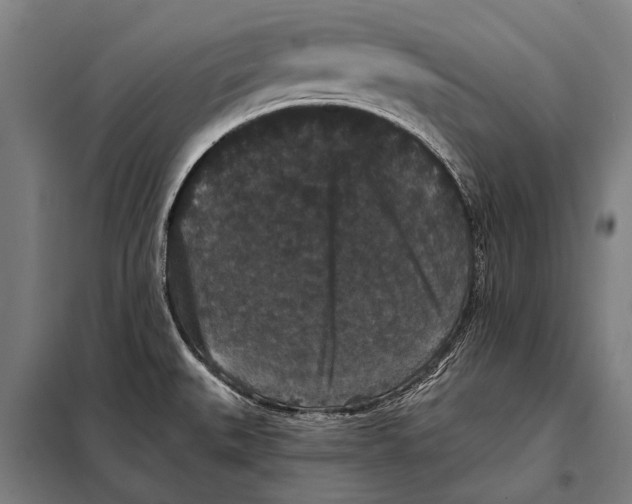 X0000097911527200804041449