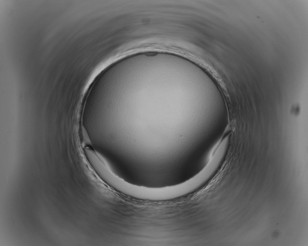 X0000097911530200804041449