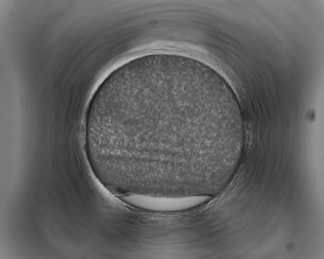 X0000097911531200804041449