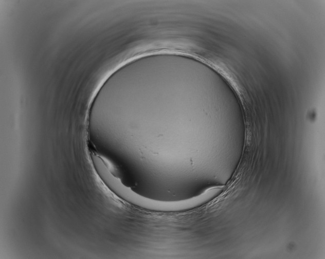 X0000097911532200804041449