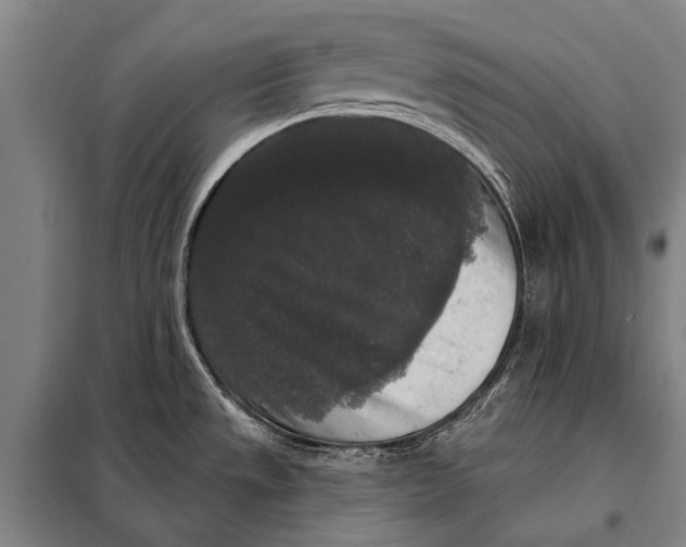 X0000097911533200804041449