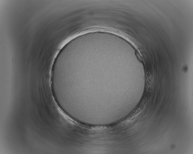 X0000097911535200804041449