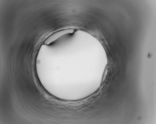 X0000097910001200804111125