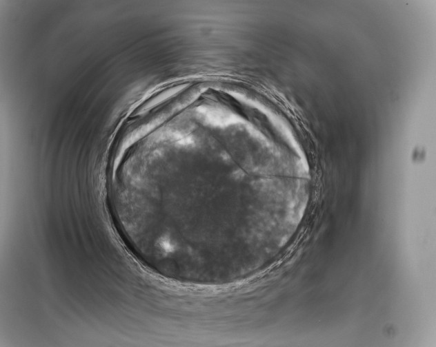 X0000097910002200804111125