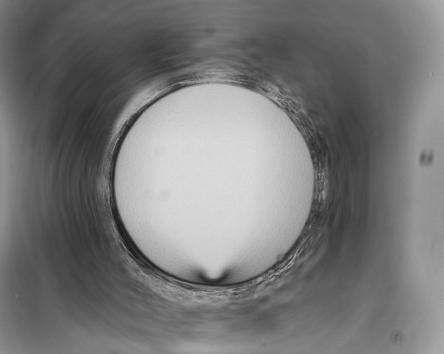 X0000097910004200804111125