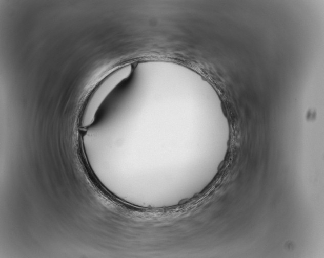 X0000097910005200804111125