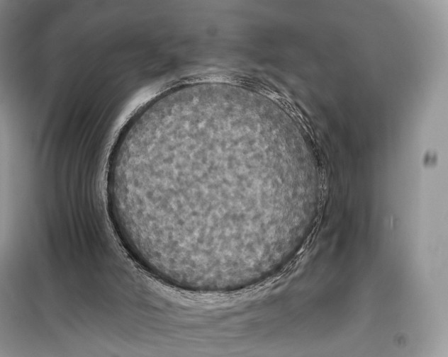 X0000097910006200804111125