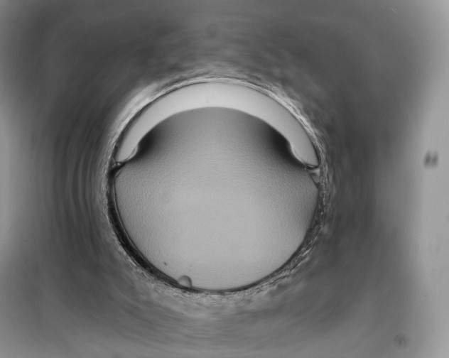 X0000097910007200804111125