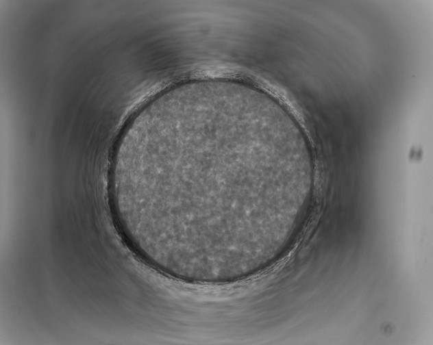 X0000097910010200804111125