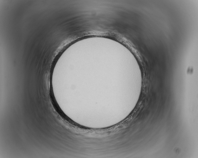 X0000097910011200804111125