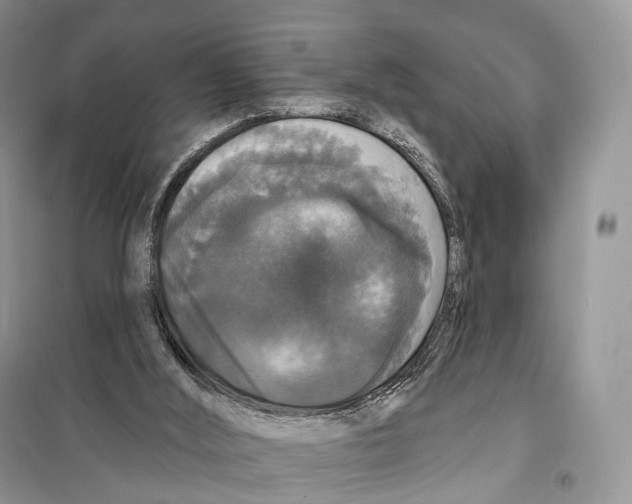 X0000097910012200804111125