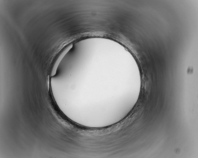 X0000097910013200804111125