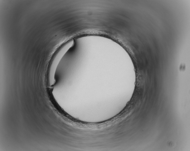 X0000097910015200804111125