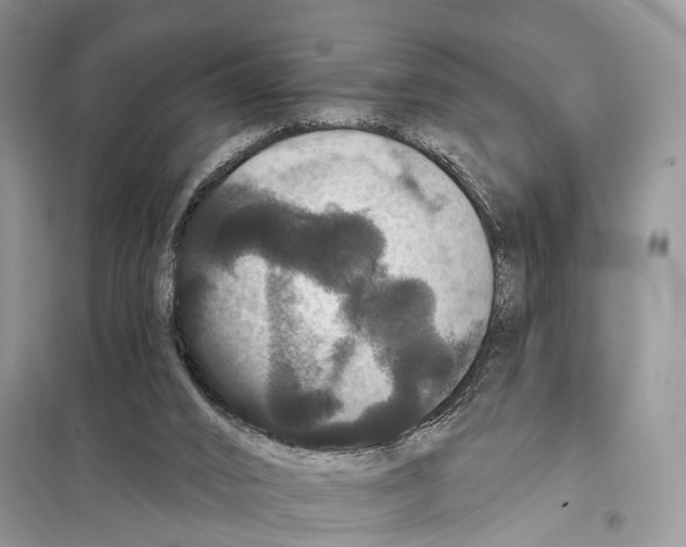 X0000097910016200804111125