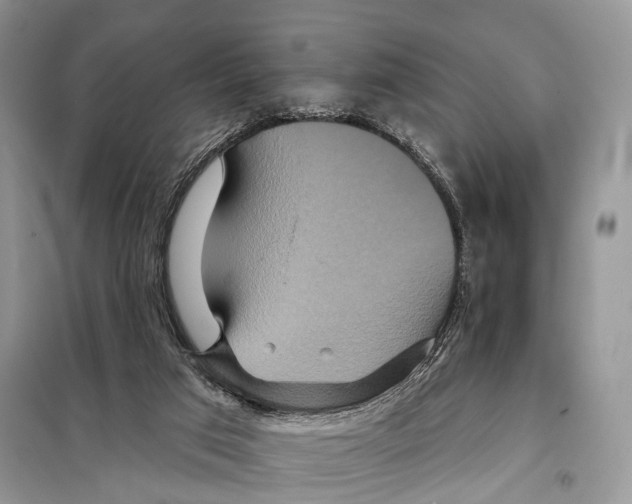 X0000097910017200804111125