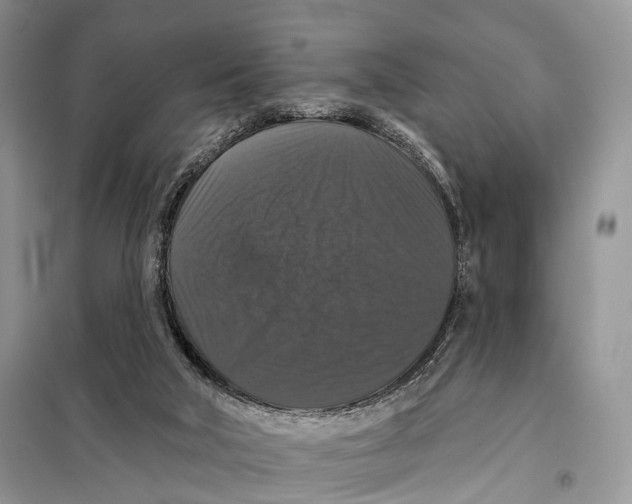 X0000097910018200804111125